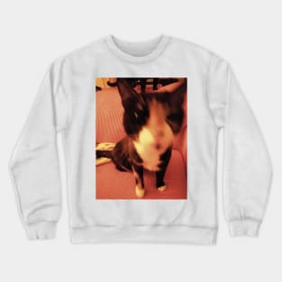 blurry cat Crewneck Sweatshirt